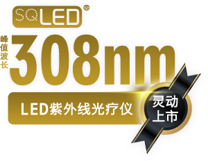 SQLED 308纳米LED紫外線(xiàn)光疗仪 SQ2CM